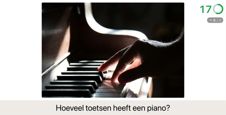 Schattingsvraag